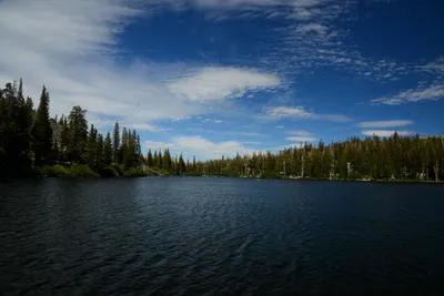 DSC_0047 (Large).JPG